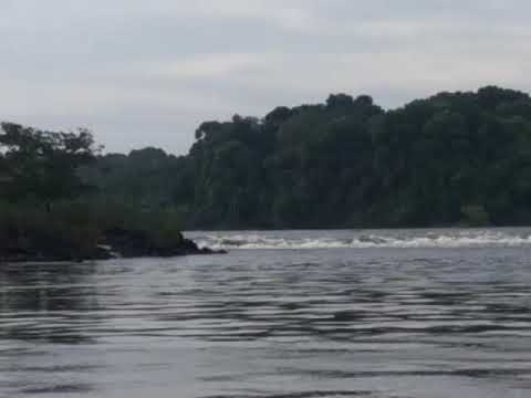 Guyana Kurupukari pantoon Crossing