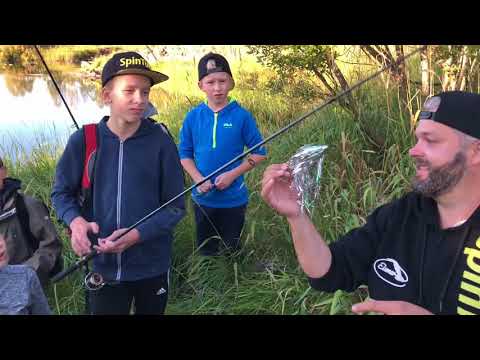 Kalakingit yllätettiin jokirannassa - Hauenkalastus - ahvenenkalastus - Eumer Fishing - Spintube