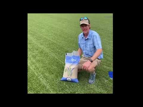 TCool in Memphis, TN - TNT Greens Talks About the Importance of TºCool.