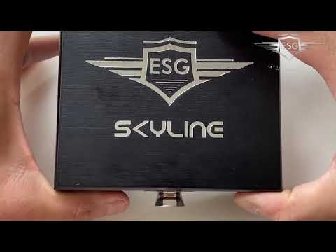 ESG Skyline