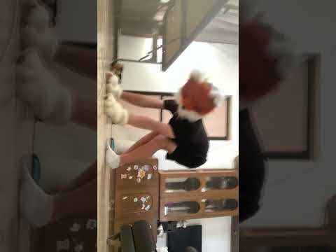 10 сентября 2024 г.