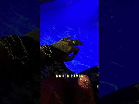 Festinha Dos Sheik 2.0