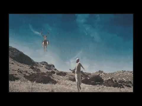 Flying deer shooting missiles