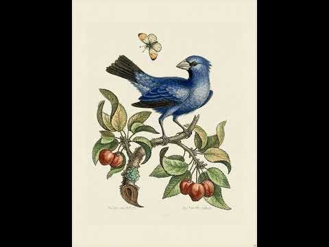 Ludwig van Beethoven - Symphony No.8 in F major, Op.93 (1812)