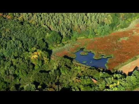 A gyönyörű Ormánság 2012.dec.10