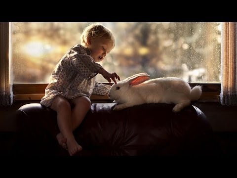 Elena Shumilova's photography of her kids and farm animals