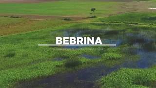 Općina Bebrina