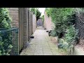 Ratten een steeds groter probleem in Schinveld