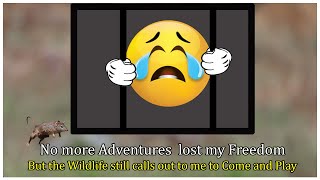 Sad times Ahead No more Adventures lost my Freedom