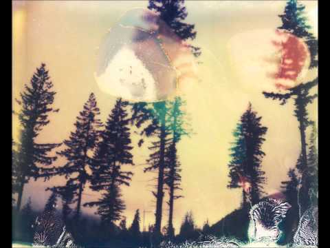 Sergey Suokas-Friendly Forest