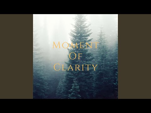Moments Of Clarity - Ian Belmar