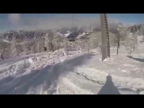 fuoripista Orso Bruno