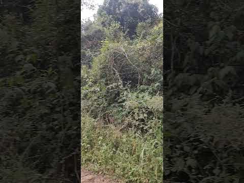 Dia 15: Soledade de Minas x Caxambu x Baependi