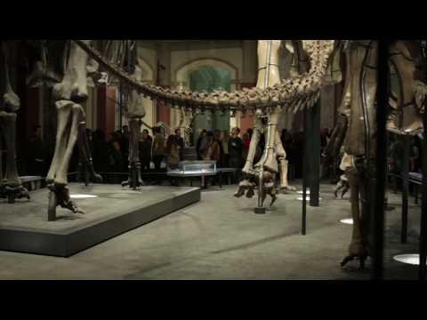 STATE Festival 2016: STATE OF EMOTION - The Sentimental Machine