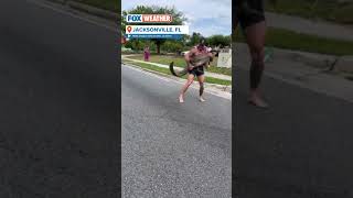Florida Man Wrangles 8-Foot Alligator With Bare Hands While Barefoot