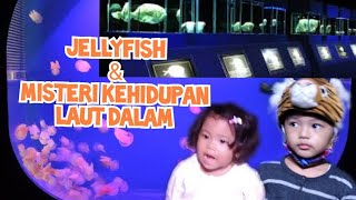 Download lagu Jellyfish (Ubur-ubur) | Misteri Kehidupan Laut Dalam | FahRifa | Part 3 SeaWorld Ancol mp3 Download lagu Jellyfish (Ubur-ubur) | Misteri Kehidupan Laut Dalam | FahRifa | Part 3 SeaWorld Ancol mp3
