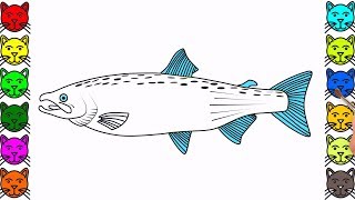 Fish Coloring Pages for Kids - How to Drawing Fish & Coloring Book for Kids
