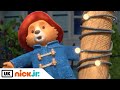 Paddington Makes a Musical! 🎶 📹 | The Adventures of Paddington | Nick Jr. UK