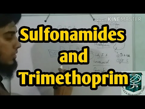 Sulfonamides and Trimethoprim/ Antibiotics/ Pharmacology