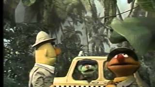 Classic Sesame Street - Ernie and Bert at the jungle