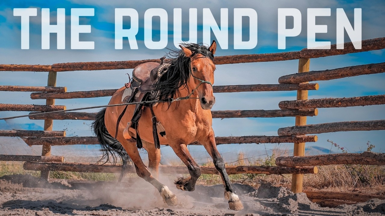 The Best DIY Rustic Horse Round Pen!