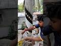Round Pillar Design Newdesign Pillar Trending Roundpillardesign Newdesign Pillardesign Tiles