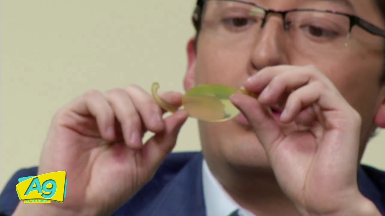 José Arturo Mayorga Abarca-7