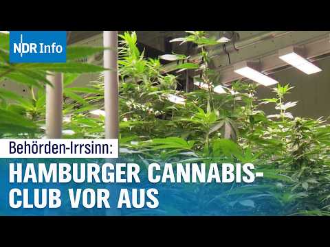 „Nicht dreckig genug“: Cannabis-Stopp in Hamburger Industriegebiet? | NDR Info
