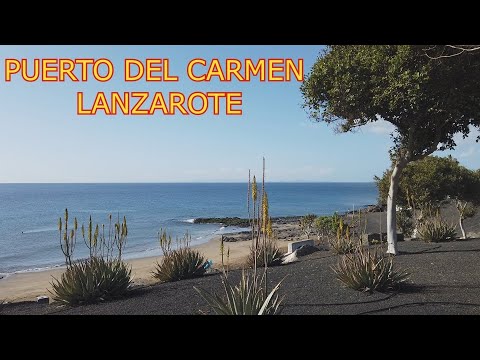 ❤️ Lanzarote  (Canary Islands - Puerto del Carmen)