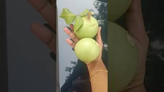 Download lagu உயிர் தரும் பழமா இது🤔| vilvam | வில்வம் பழம் | #abithaa_kk #vilvam #beal #fruit #shortsfeed #shorts mp3 Download lagu உயிர் தரும் பழமா இது🤔| vilvam | வில்வம் பழம் | #abithaa_kk #vilvam #beal #fruit #shortsfeed #shorts mp3