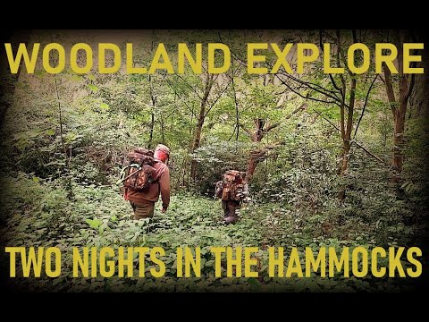 Woodland Explore Two Nights In The Hammocks