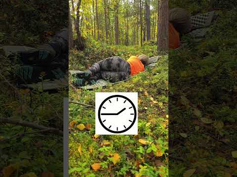 Collect Drinking Water from Thin Air 🌿💧 Bushcraft Survival Hack