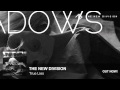 The New Division - True Lies 