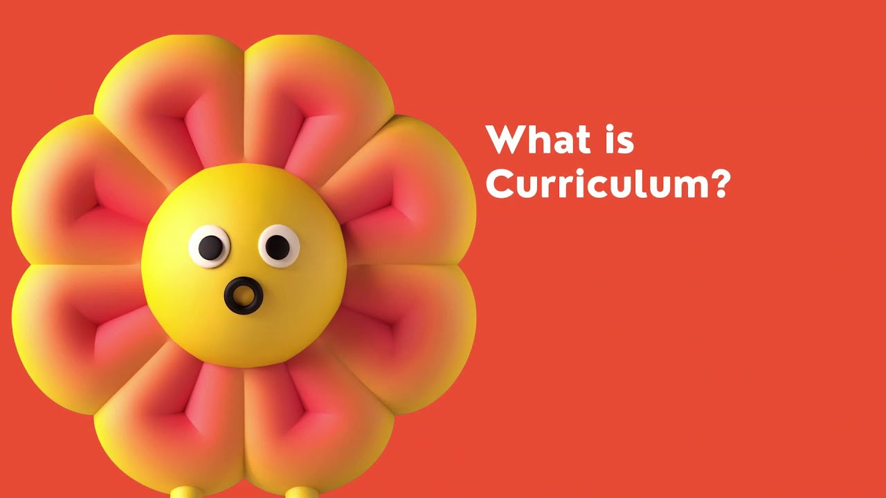 CURRICULUM EVALUATION