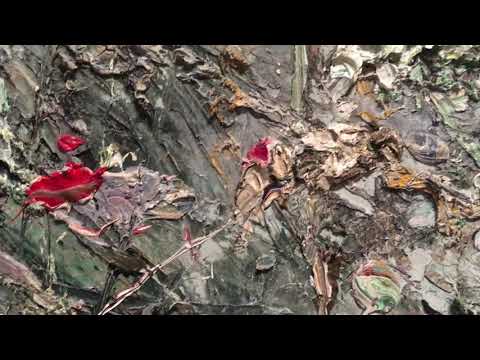 String Quartet (1980) by Andrew Toovey performed by Wendy, Tanya, Andrew and Linda