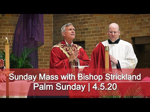 Click to Watch the Celebrate Sunday Mass With Bishop Strickland - Palm Sunday - 4.5.20 video