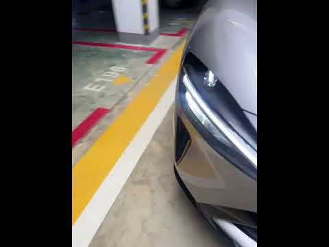 太粗心了我  小狗呢？#萬萬沒想到