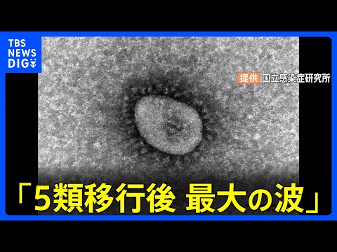 コロナウイルス感染拡大の第二波: だからこそ懸念は根拠がない
