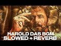 HAROLD DAS BGM Slowed Reverb LEO