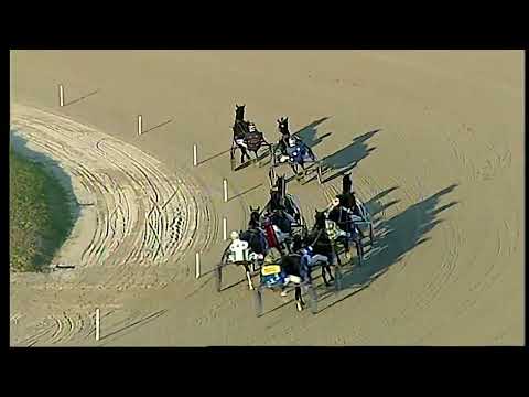 Napoli Trotto 18/01/2022 - 6ª corsa