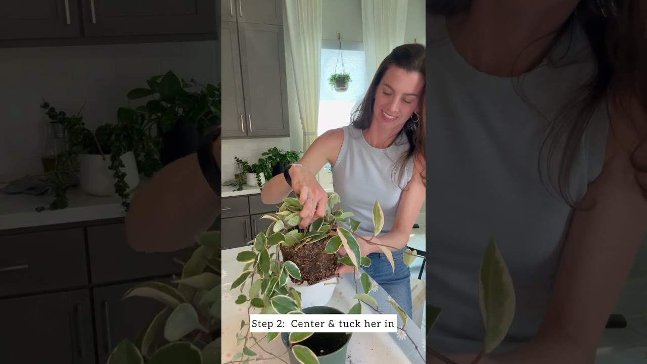 All links can be found in my LinkTree.Follow me on Instagram to have links sent to your DMs