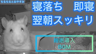 【睡眠導入BGM】ちるのナイティナイト