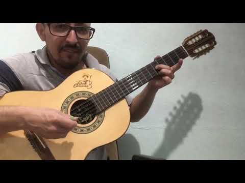Macaco Velho - Cacique e Pajé
