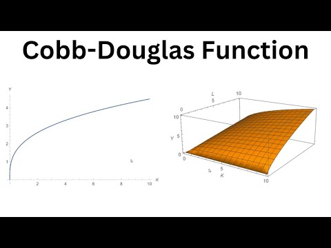 The Cobb-Douglas Production Function