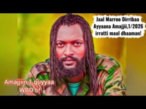 Dhaamsa Ajajaa Olaanaa ABO_WBO Amajjii 1,2026 guyyaa WBO ilaalchisee dhaaman Jaal Marroo Dirribaa.