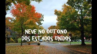 Outono nos EUA -parte 3... Teve um pouquinho de neve em pleno mês de outubro!!!