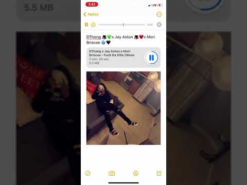 DThang 🐇💚x Jay Aston 🎩 x Mori Briscoe 🖤🌀