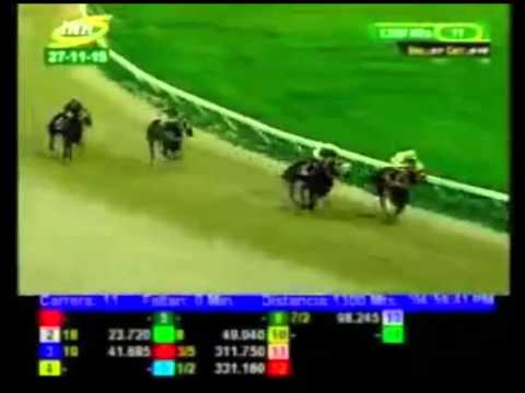 VALENCIA 11 CARRERA, VIERNES 27 DE NOVIEMBRE DEL 2015