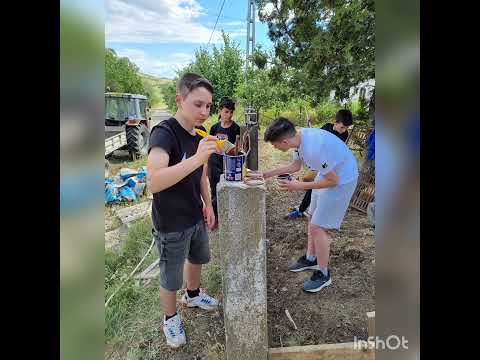 Tansa, file de poveste. Ediția a patra.