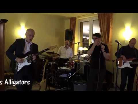 Mundharmonikalive 2018 - The Blues Alligators